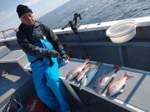 マダイ・イナダ(ブリ)