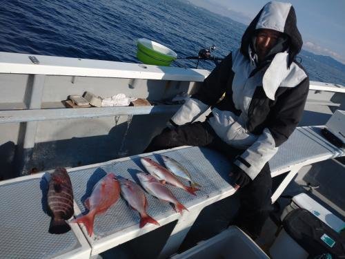 マダイ・ハタ(マハタ)