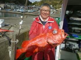 ベニアコウ(オオサガ)