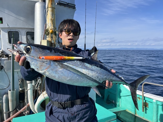 ビンチョウマグロ(ビンナガ)