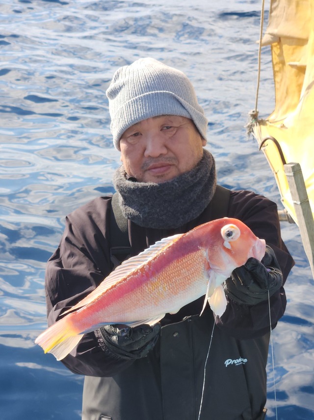 アマダイ(アカアマダイ)