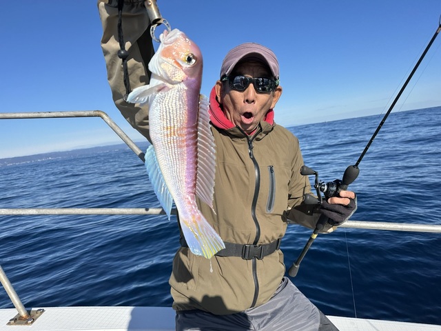 アマダイ(アカアマダイ)