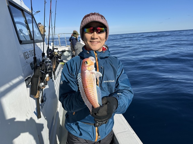 アマダイ(アカアマダイ)