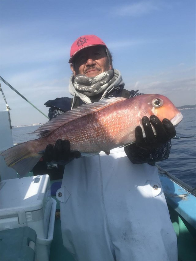 アマダイ(アカアマダイ)