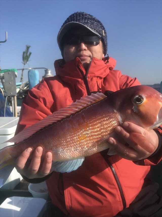 アマダイ(アカアマダイ)