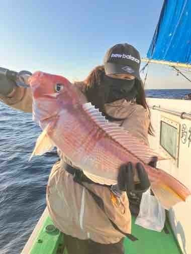 アマダイ(アカアマダイ)