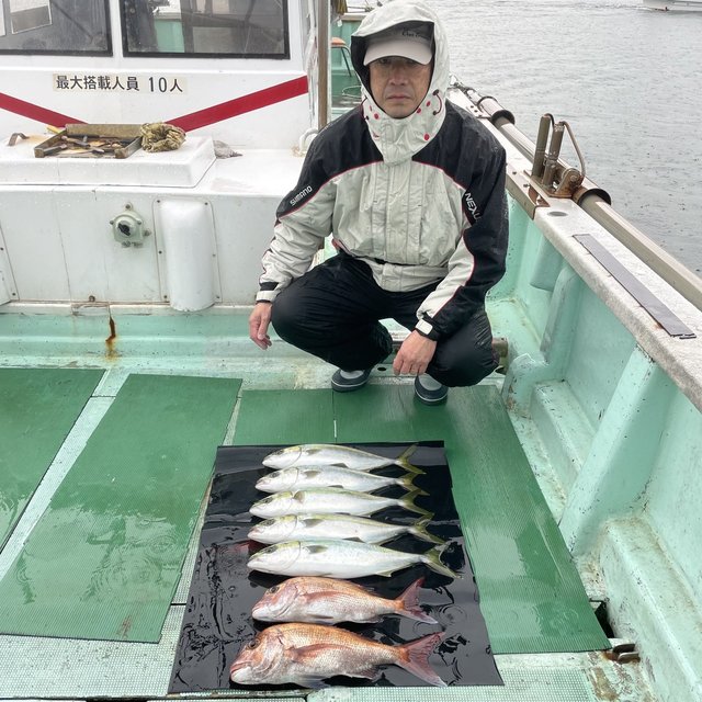 マダイ・ハマチ(ブリ)