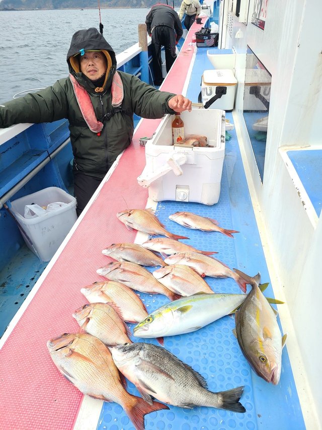 マダイ・イナダ(ブリ)・カンパチ