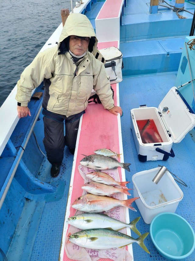 マダイ・イナダ(ブリ)・カンパチ