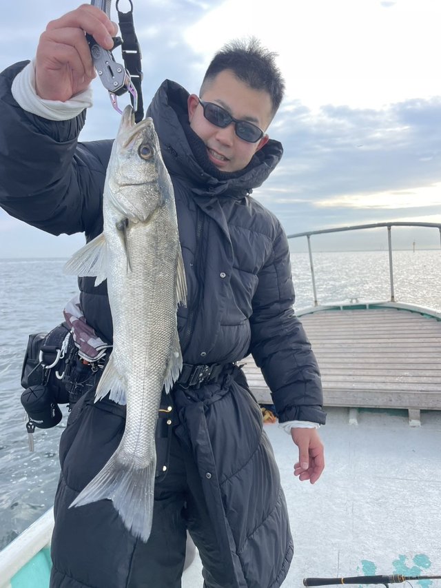 シーバス(スズキ)