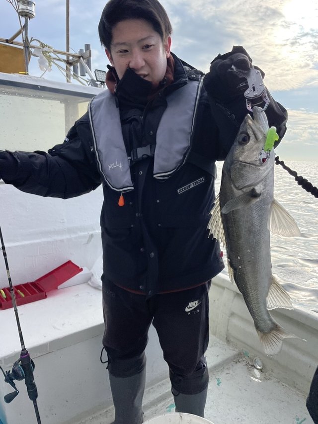 シーバス(スズキ)