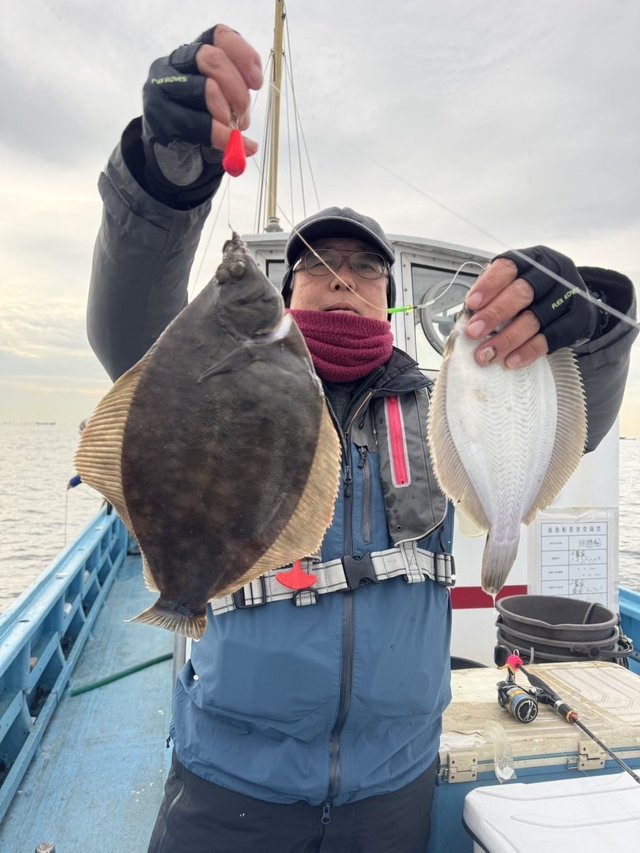 カレイ(マコガレイ)