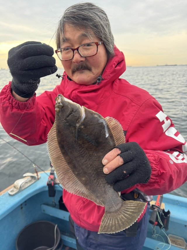 カレイ(マコガレイ)