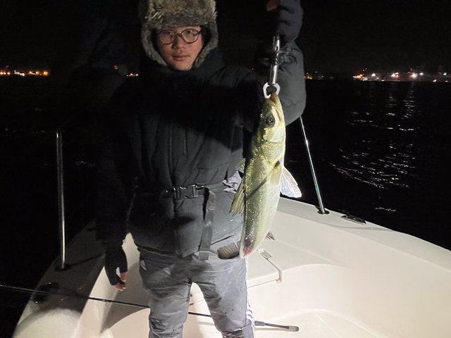 シーバス(スズキ)