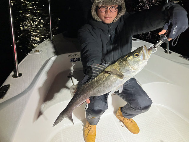 シーバス(スズキ)