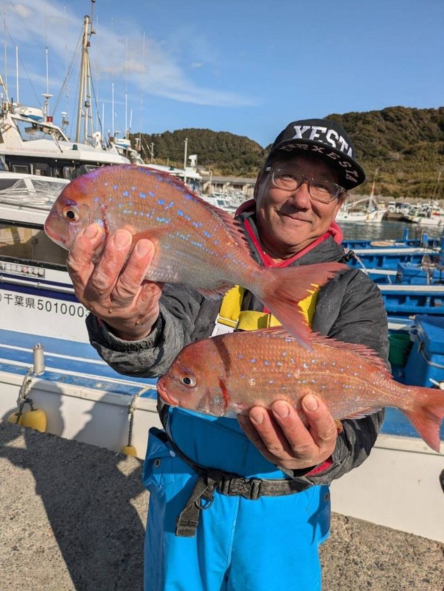 ハナダイ(チダイ)