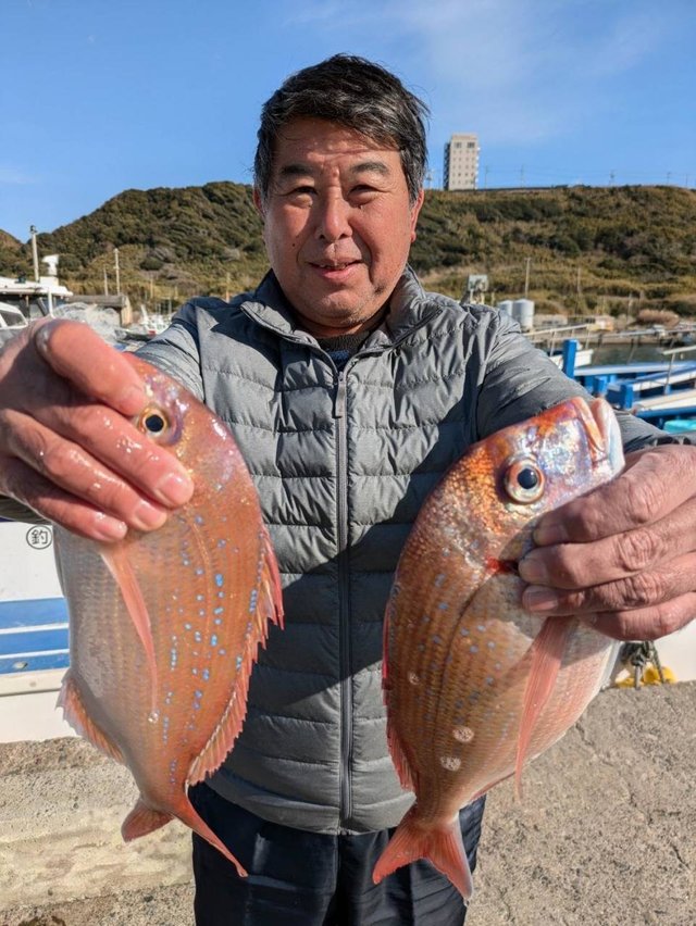 ハナダイ(チダイ)