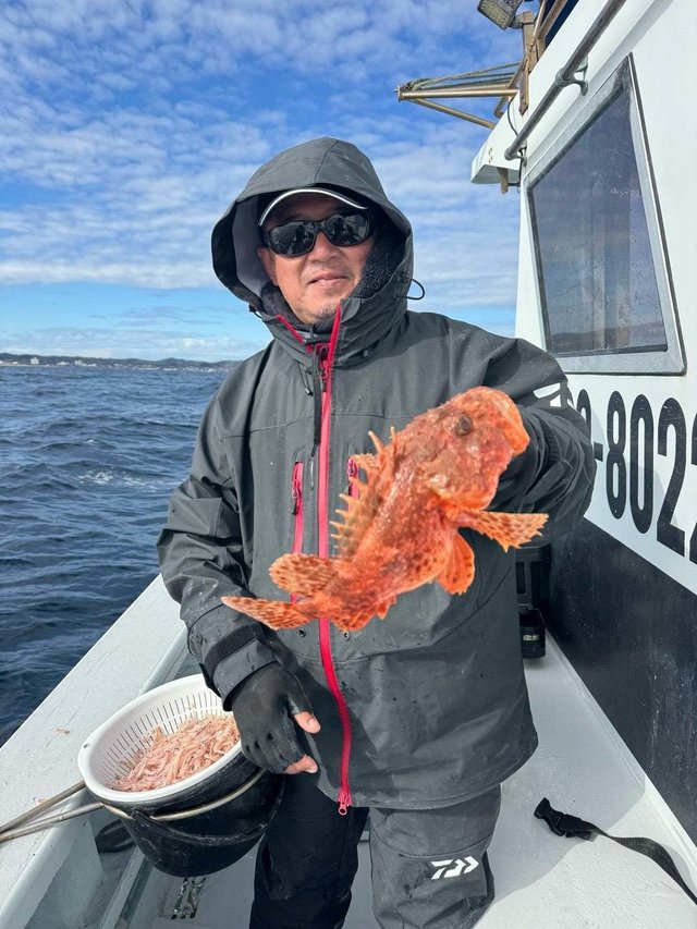 カンコ(ウッカリカサゴ)