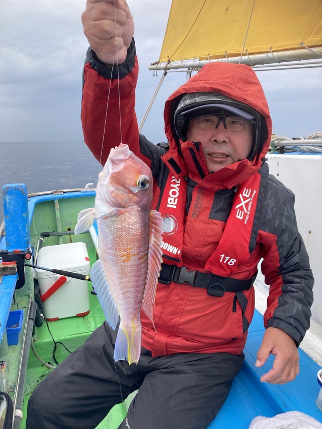 アマダイ(アカアマダイ)