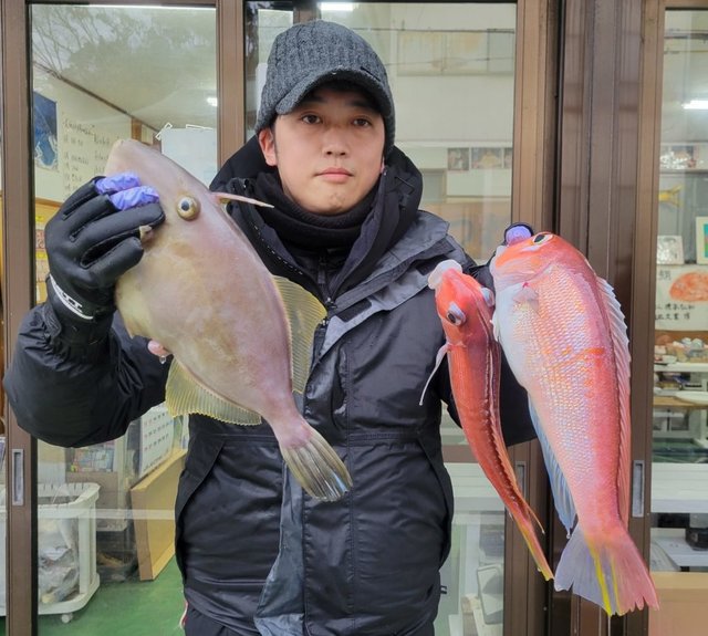 アマダイ(アカアマダイ)・ウマヅラ(ウマヅラハギ)