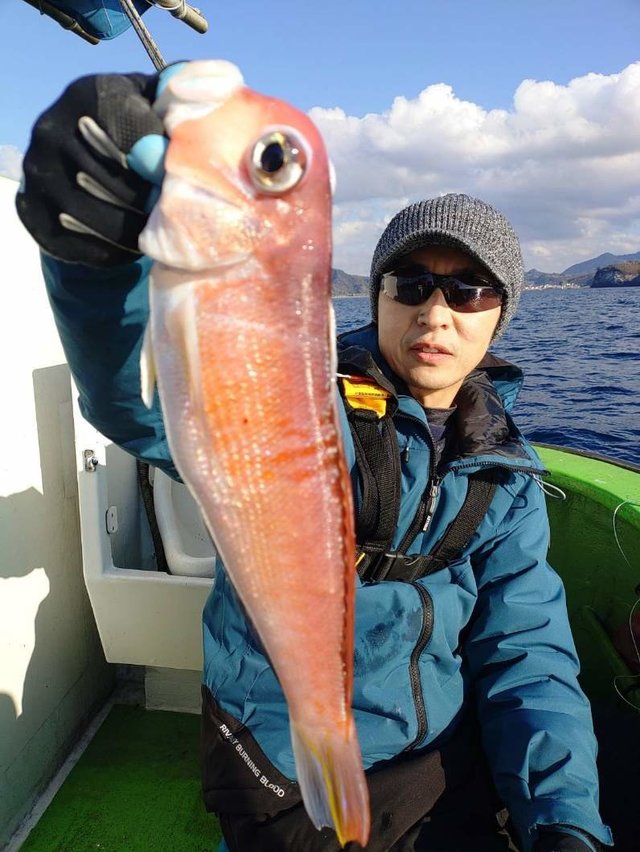 アマダイ(アカアマダイ)