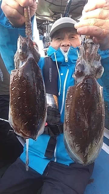 モンゴウイカ(カミナリイカ)