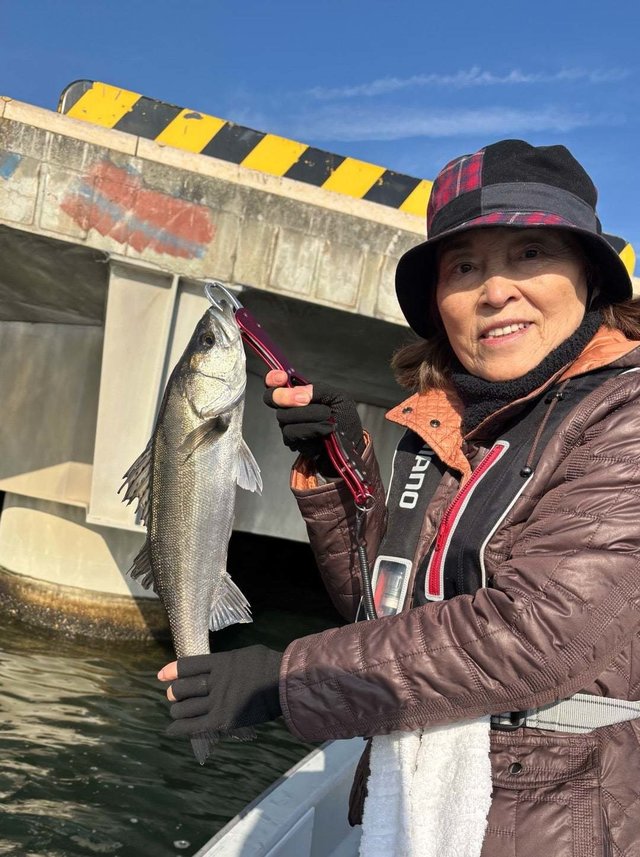 シーバス(スズキ)