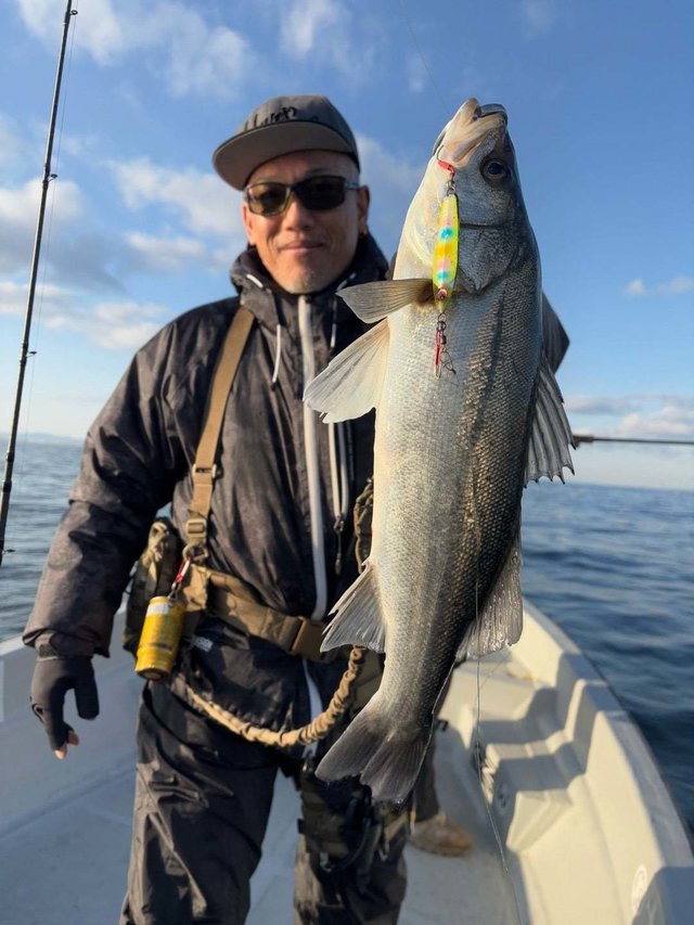 シーバス(スズキ)