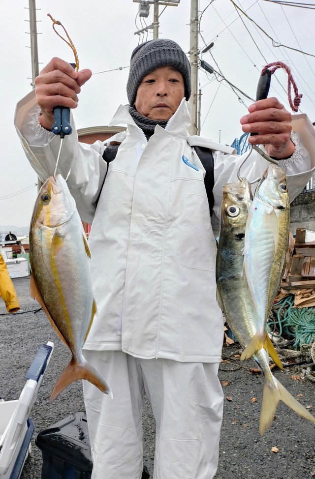 アジ(マアジ)・カンパチ