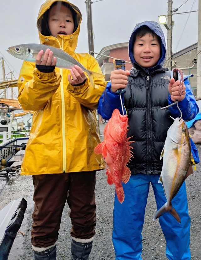 アジ(マアジ)・カンパチ