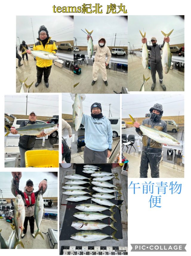 ブリ・ハマチ(ブリ)・メジロ(ブリ)