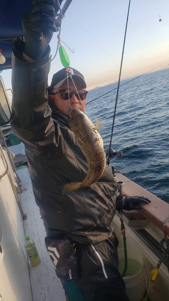 フグ(ショウサイフグ)