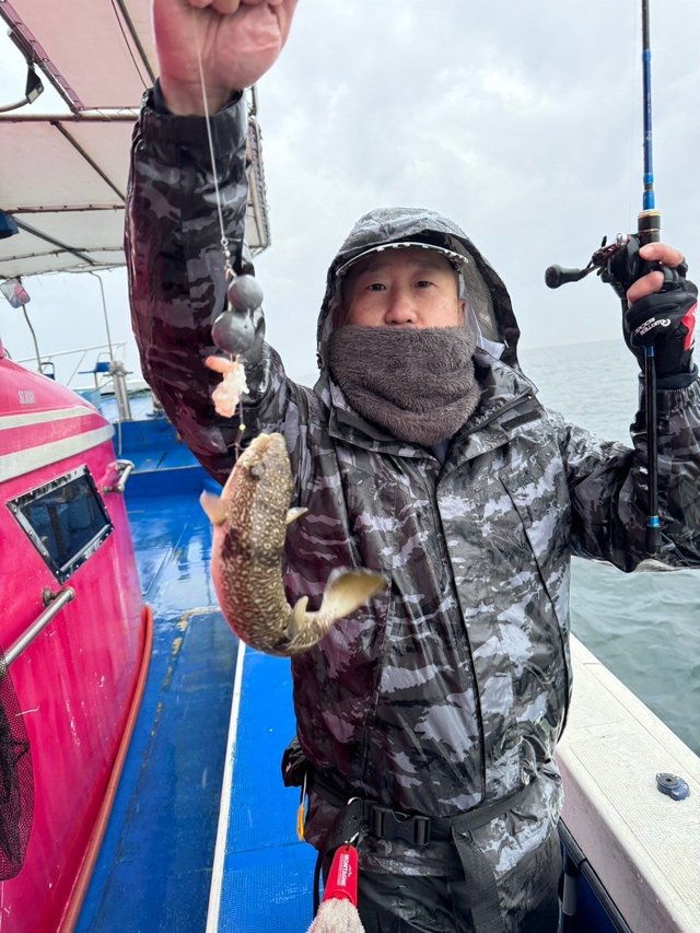 フグ(ショウサイフグ)