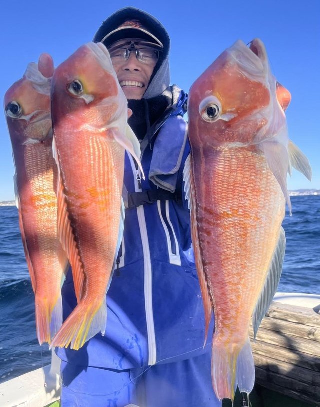 アマダイ(アカアマダイ)