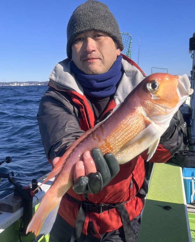 アマダイ(アカアマダイ)