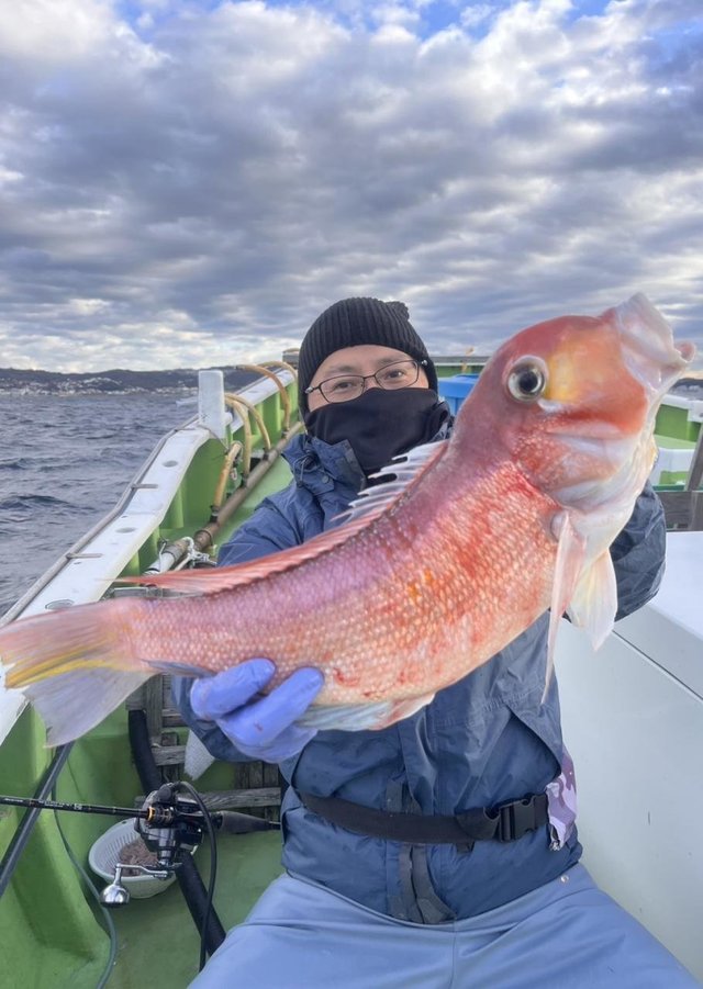 アマダイ(アカアマダイ)