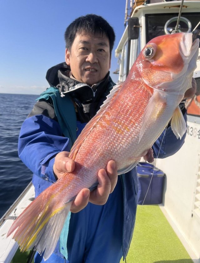 アマダイ(アカアマダイ)