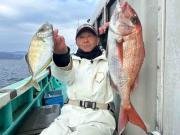 マダイ・カイワリ