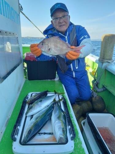 マダイ・ハマチ(ブリ)