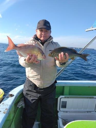 マダイ・イサキ