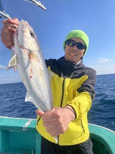 ショゴ(カンパチ)