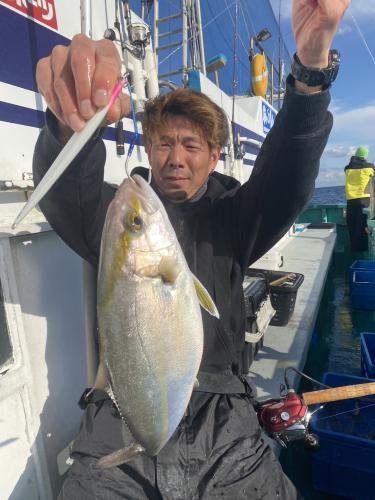 ショゴ(カンパチ)