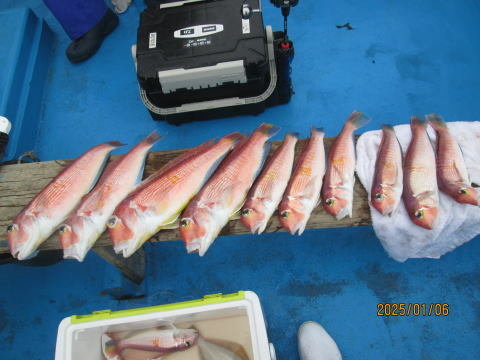 アマダイ(アカアマダイ)