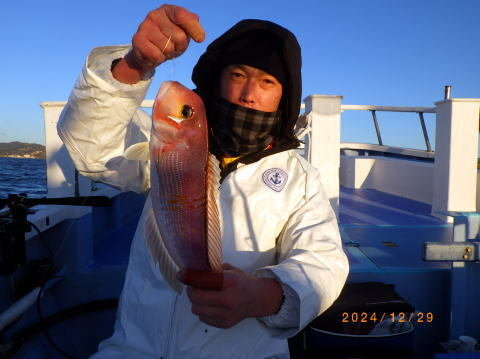 アマダイ(アカアマダイ)