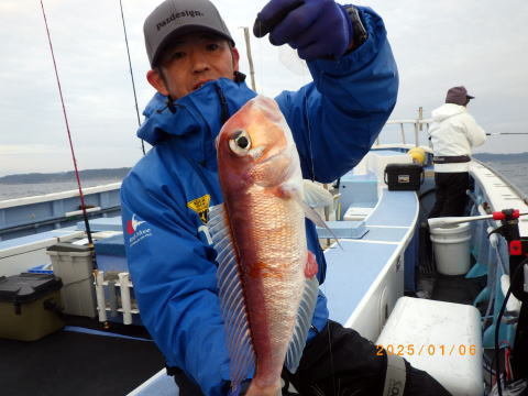 アマダイ(アカアマダイ)