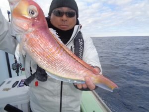 アマダイ(アカアマダイ)