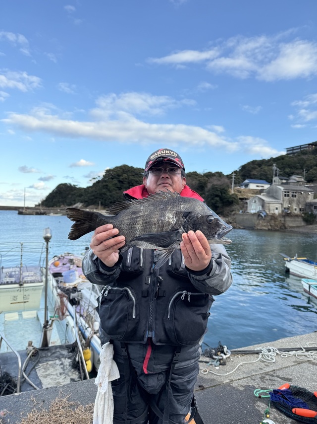 チヌ(クロダイ)