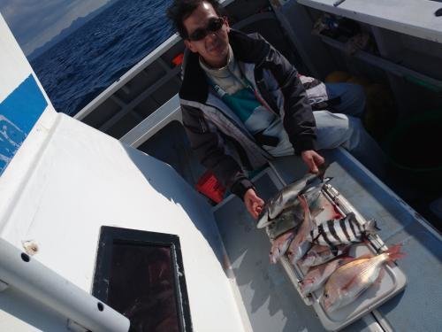 マダイ・クロダイ・イシダイ