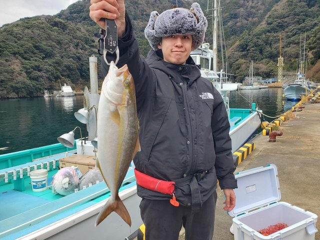 ショゴ(カンパチ)