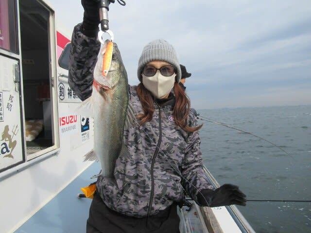 シーバス(スズキ)